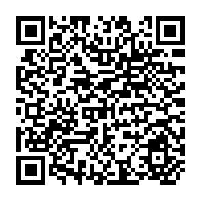 QR Code for A Social Economic Survey of Agriculture in the Lilongwe Land Development Programme Area