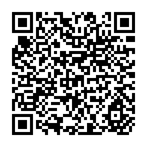 QR Code for Landownership Patterns in Colombia
