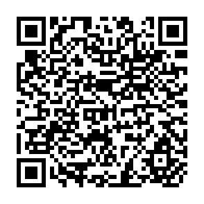 QR Code for The agrarian reform in casta rica