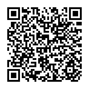 QR Code for A Cooperative Farming Project in Chile: A Case Study