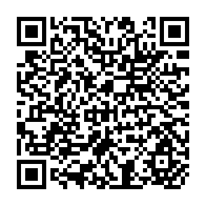 QR Code for A Cooperative Farming Project in Chile: A Case Study