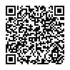 QR Code for Agrarian reform and economic development in Chile:Some cases of Colonization