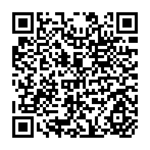 QR Code for Agrarian Structure in Seven Latin American Countries