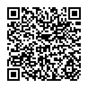 QR Code for Land tenure reform and agricultural development in latin america