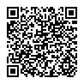 QR Code for Mechanization and the Chilean Inquilino System: The Case of Fundo "B"