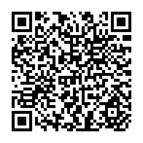 QR Code for Survey of the Alliance for Progress: Problems of Agriculture