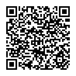 QR Code for The Environment and Emerging Development Issues