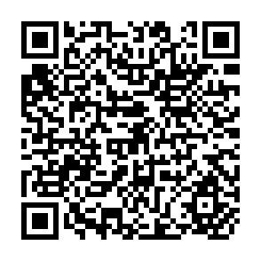 QR Code for Interest Rates and Imperfect Competition in the Informal Credit Market Of Rural Chile