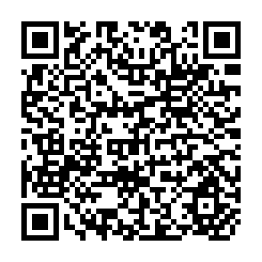 QR Code for Land reform and peasant market participation on the northern highlands of Bolivia