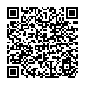 QR Code for Land reform and peasant market participation on the northern highlands of Bolivia