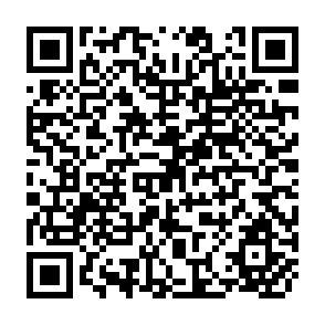 QR Code for Grassroots Economic Pressures in Chile: An Enigma for Development Planners