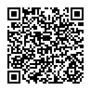 QR Code for The Productivity of Agricultural Labor in the Export Crops of Guatemala: Its Relation to Wages and Living Conditions