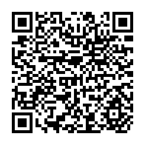 QR Code for The Productivity of Agricultural Labor in the Export Crops of Guatemala: Its Relation to Wages and Living Conditions