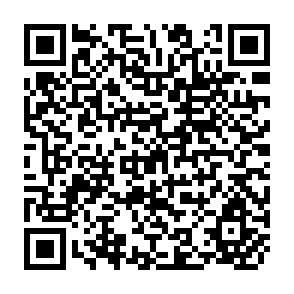 QR Code for Problems and Conflicts over Land Ownership in Bolivia