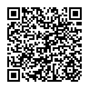 QR Code for Tenure and Productivity of Philippine Rice Producing Farms