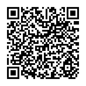 QR Code for Trade and Development Report, 2009