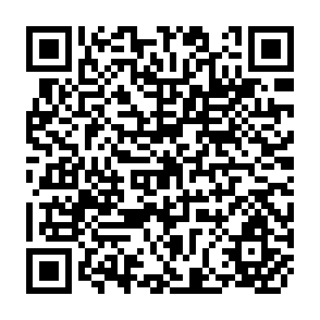 QR Code for Poverty as an Issue in Development Policy: A Comparison of United Ststes and Underdeveloped Countries