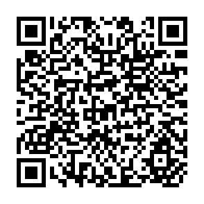 QR Code for Implementing the World Intellectual Property Organization's Development Agenda