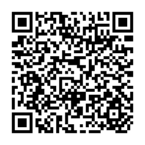 QR Code for Catalogue on Natural Enemeies of Insect Pests of Food Crop in SAARC Countries