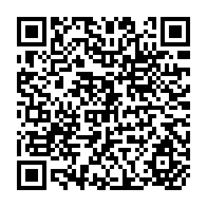 QR Code for Redesigning the World Trade Organization for the Twentry-Frist Century