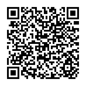 QR Code for Agricultural Extension in Chile: A Study of Institutional Transplantation