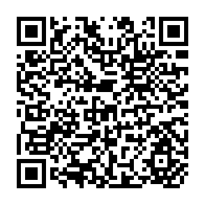 QR Code for Agricultural Extension in Chile: A Study of Institutional Transplantation