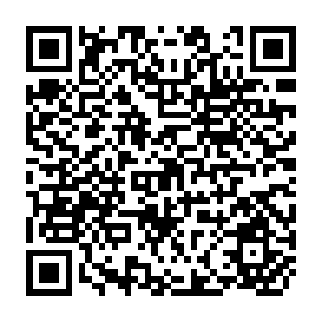 QR Code for Agricultural "Extension" in Chile: A study of Institutional Transplantation