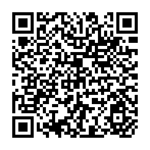 QR Code for Needed Redirections in Economic Analysis for Agricultural Development Policy