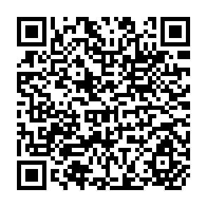 QR Code for Needed redirections in economics in economic analysis for agricultural development policy