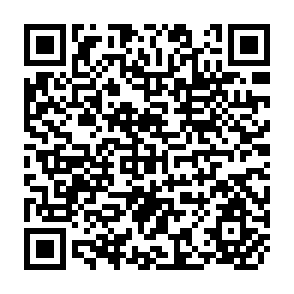 QR Code for Irrigation - Theory and Practice