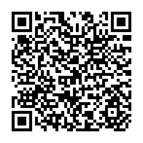 QR Code for Latin America's Employment Problem