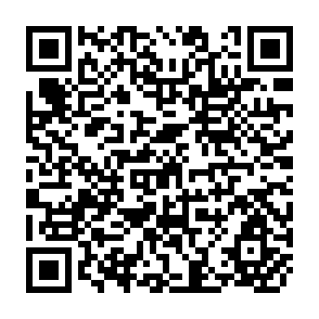 QR Code for Latin America's Employment Problem