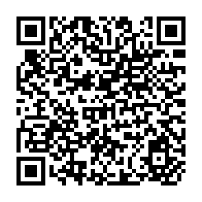 QR Code for The Economic Case for Land Reform :Employment , Income Distribution and Productivity