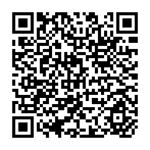 QR Code for Strategies and Financial Mechanisms for sustainable use and conservation of forests: