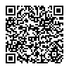 QR Code for Green Revolution in Latin America: Income Effects, Policy Decisions