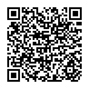 QR Code for Green Revolution in Latin America: Income Effects, Policy Decisions