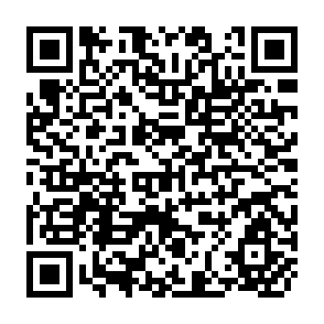 QR Code for The Millennium Development Goals Report