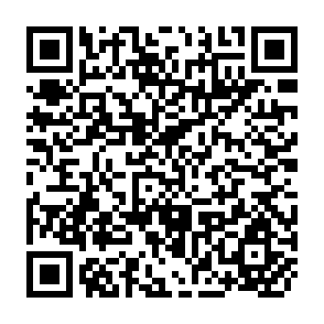 QR Code for Rural Development Report 2009 - Changing Rural Livelihoods: Constraints and Opportunities