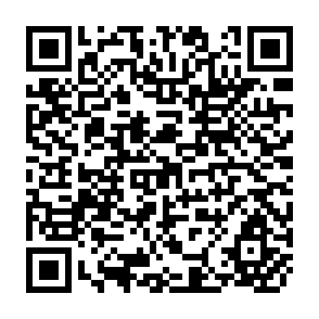 QR Code for Forest Law Enforcement and Governance: Orogress in Asia and the Pacific