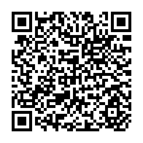 QR Code for Forests and Climate Change after Copenhagen