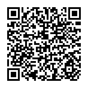 QR Code for Responsiveness of Subsistence Farmers to New Ideas: Dwarf Wheat on Unirrigated Small Holdings in Pakistan