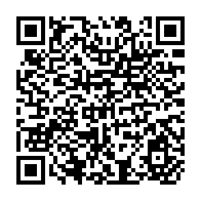 QR Code for Responsiveness of Subsistence Farmers to New Ideas: Dwarf Wheat on Unirrigated Small Holdings in Pakistan