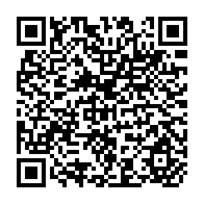 QR Code for Telehealth in the Developing World