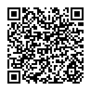 QR Code for Taxation and Gender Equity : A Comparative analysis of Direct and Indirect Taxes in Developing and Developed Countries