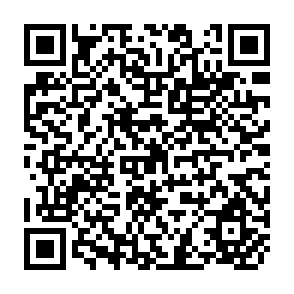 QR Code for New Aspects of Collaborative Research on Soil Pollution, Food Safety and Soil Remeditation Techniques in Asia