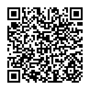 QR Code for Bio-Fertilizers and Bio-Pesticides research and development at uplb