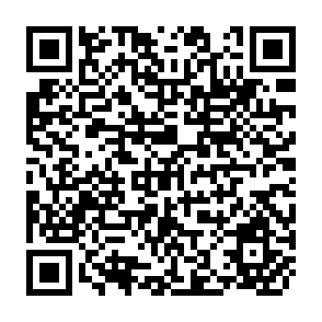 QR Code for Booklet on Mechanization-its Trend and Opportunities in the Agricultural Production System in SAARC Countries