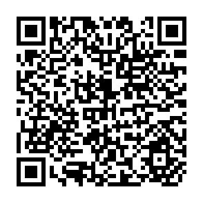 QR Code for Invasive Insects: Problem and risk assessment