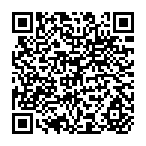 QR Code for Biomethanol Production from Various Forms of Biomass: Utilization of Forage Grasses, Trees, and Crop Residues
