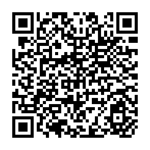 QR Code for Projections of Effects of Modern Inputs on Agricultural Income Employment in Community Development Block, Uttar Pradesh, India